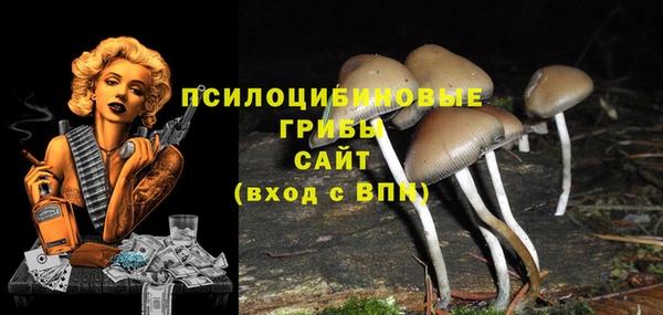 мяу мяу мука Алексеевка