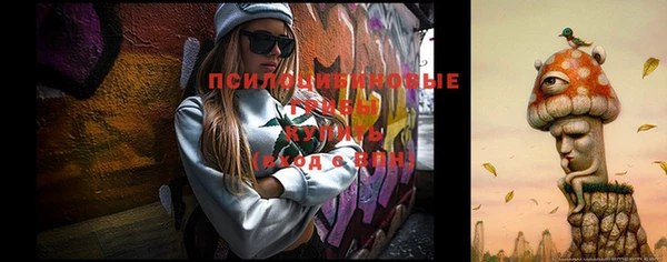 мяу мяу мука Алексеевка