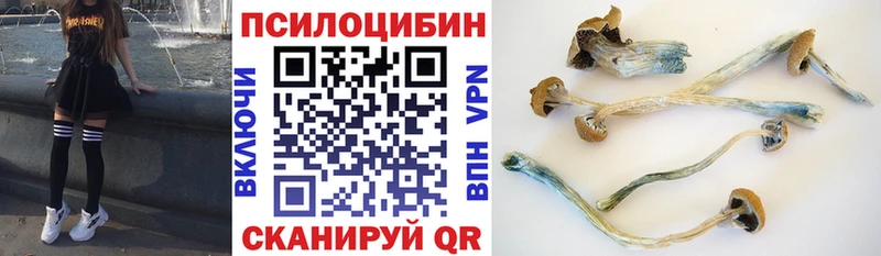 Псилоцибиновые грибы GOLDEN TEACHER  ссылка на мегу tor  Дубна 