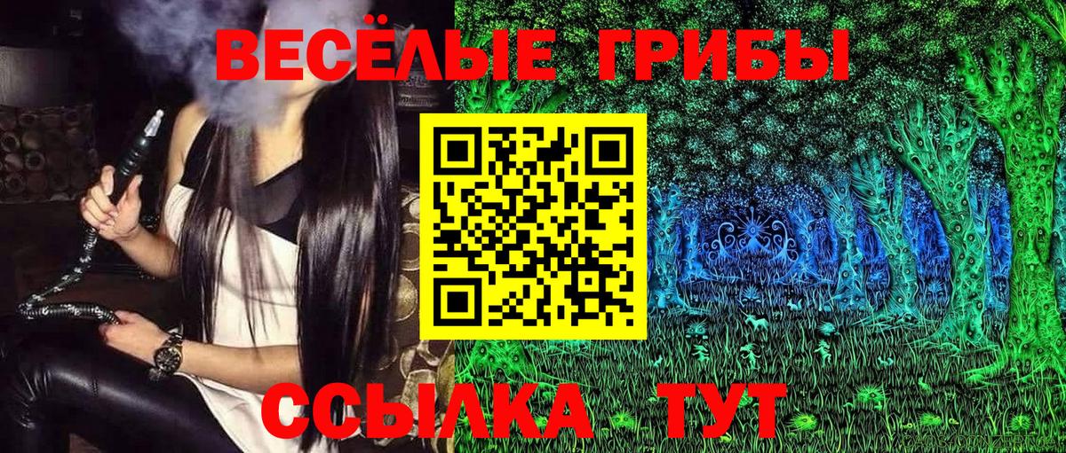 Дубна  Псилоцибиновые грибы прущие грибы  Псилоцибиновые грибы прущие грибы  Вход с VPN 