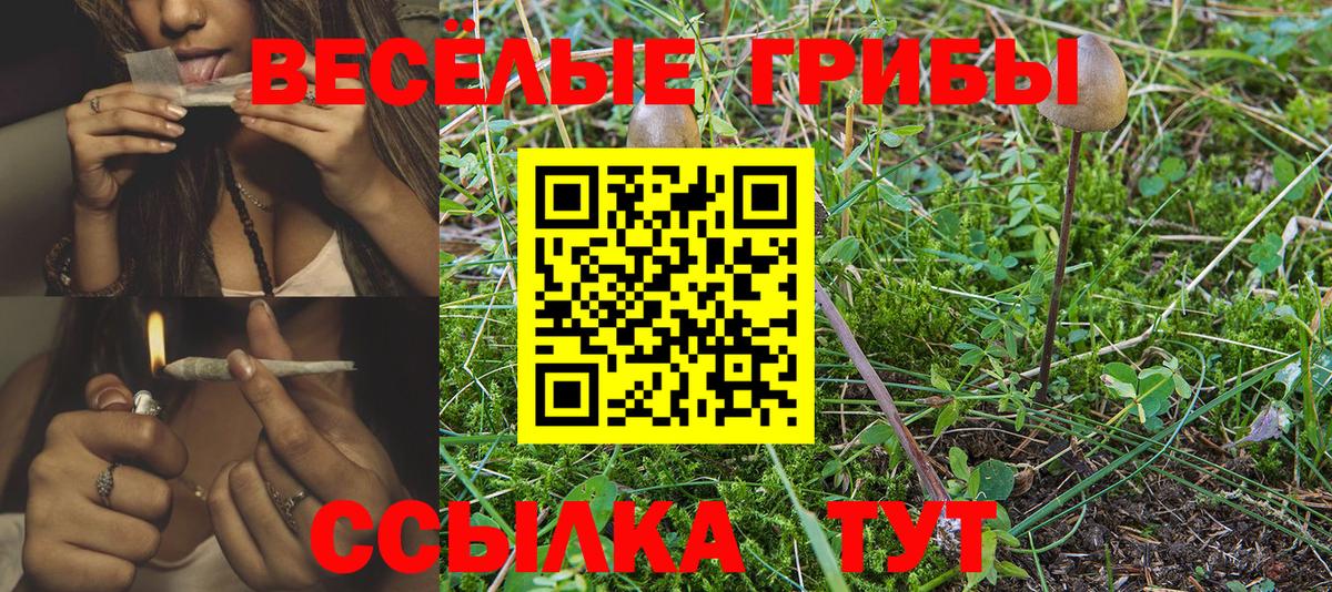 Псилоцибиновые грибы Magic Shrooms Дубна
