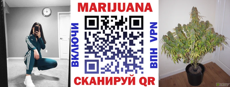 продажа наркотиков  Дубна  Бошки Шишки SATIVA & INDICA 